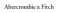 Abercrombie Canada Coupons
