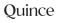Quince Canada Coupons